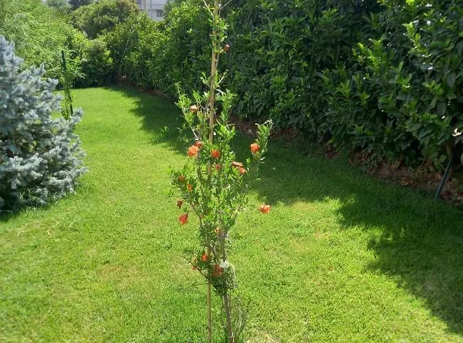 Apartment Le Dimore Di Billa